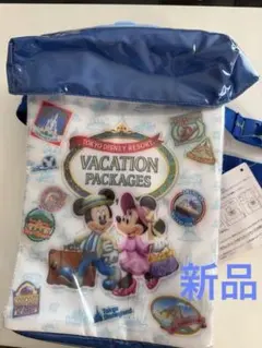 【新品】東京ディズニーリゾート　バケーションパッケージ　ポップコーンバケット