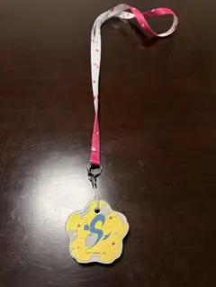 SAGA SAKURA 2026 完走メダル