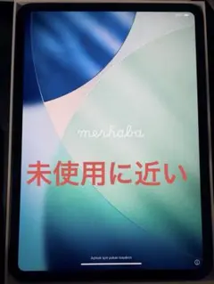 iPad Pro (M4) wi-fi 11インチ 256GB + その他