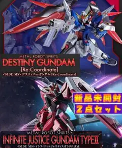 METAL ROBOT魂 デスティニー[Re] &インフィニットジャスティス弐式