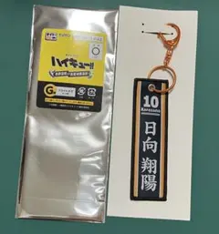 タイトーくじ　ハイキュー　G賞フライトタグ　日向翔陽