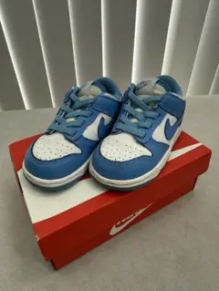 Nike Dunk Low 青/白