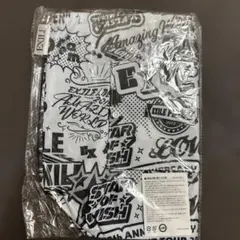 EXILE トートバッグ FC会員継続特典 未使用品