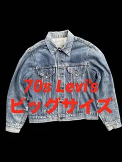 2026年最新】Levi's 70505 ケアタグの人気アイテム - メルカリ