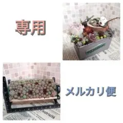 おとく様 リクエスト 2点 まとめ商品