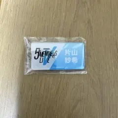 日向坂46 五期生 5MEMBERS LIVE ネームキーホルダー コンプ 日向坂46 五期生 5MEMBERS LIVE ネームキーホルダー コンプ - メルカリ