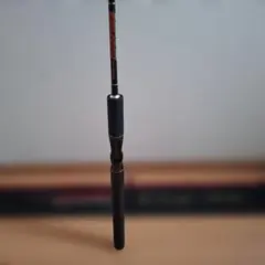 PENN REELS International 船竿 IGFA 2030 - メルカリ