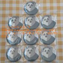 呪術廻戦 パンダ 缶バッジ 10点セット