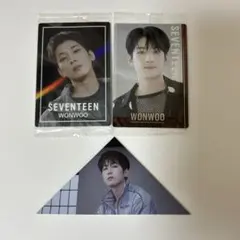 SEVENTEEN ウォヌ まとめ売り ウエハース FML ブックマーク
