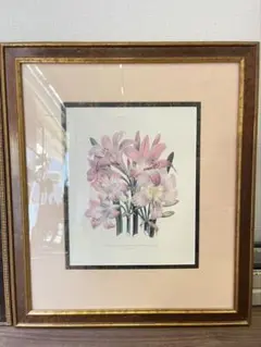 ボタニカルアート 花の絵 額装品 尺寸50X58cmのサムネイル