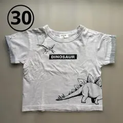 恐竜柄 Tシャツ 95cm