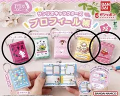 サンリオキャラクターズ　プロフィール帳
