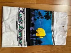 Item thumbnail for item 9b3f5025-4f0f-47a9-bbb7-9d5bd5b8132b