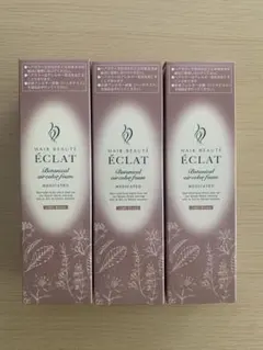 HAIR BEAUTE ECLAT Botanical air colorのサムネイル