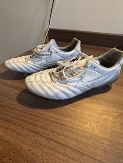 モナルシーダネオ