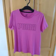 PUMA トレーニング Tシャツ Mサイズ ピンク