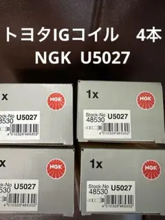 タルキール覇王譚 コンプリートセット MO現物化 マジックオンライン