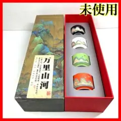 【新品・未使用】　万里山河 高級茶器　磁器製　4客セット 湯呑み　共箱付き