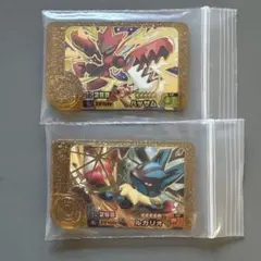 ポケモンフレンダ　タッグバトル第5弾　レガシーピック　ハッサム&ルカリオ