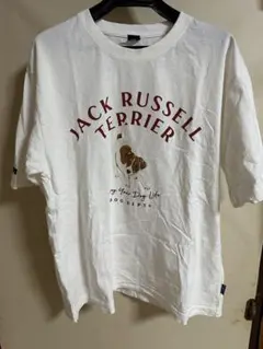 Item thumbnail for item b6ad5266-dd94-4b46-b35d-84f1ab856602