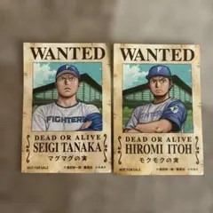 FIGHTERS WANTEDポスター 田中、伊藤