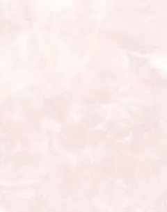 ☆☆☆様専用ページ