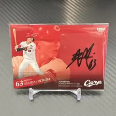 Item thumbnail for item 57a80a7e-ce16-41b3-b98b-2b40ffae3140