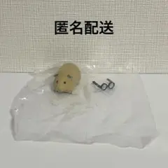 【新品未開封】 サングラスをかけたモルモット うずまき ガチャガチャ