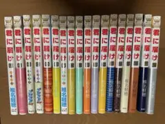 全巻セット 少女漫画