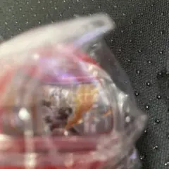 Item thumbnail for item ca4777e4-de70-4afd-a04e-1eab3295bf5d