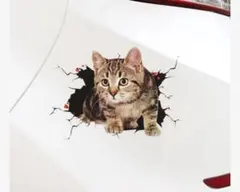 3D風 猫 ステッカー デカール かわいい 猫好き いたずら猫 グッズ 飛び出す