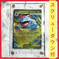 メガフシギバナex SR MEGA 拡張パック メガブレイブ キラ 076/0