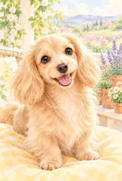 ダックスフンド　犬　イラスト　ミニチュアダックス　わんちゃん　ペット　D566