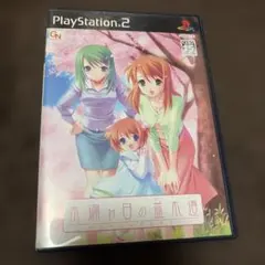 木漏れ日の並木道 移り変わる季節の中で