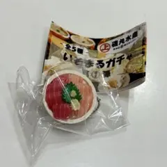 【新品未使用】磯丸水産 ガチャガチャいそガチャ