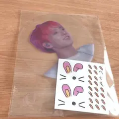 BTS マスター 透明うちわ ジョングク