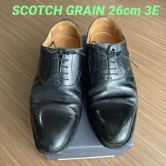 値下げ　スコッチグレイン　ストレートチップ　26cm 3E
