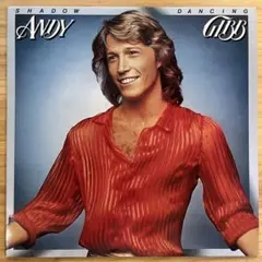 Andy Gibb Shadow Dancing レコード