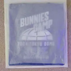 BUNNIES CAMP 2024 TOKYO DOME Tシャツ 白　XL Size XL NewJeans x MURAKAMI Bunnies Camp 2024 Tokyo Dome T