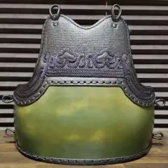 剣道　胴　変わり塗り　生地胴風　Lサイズ　新品