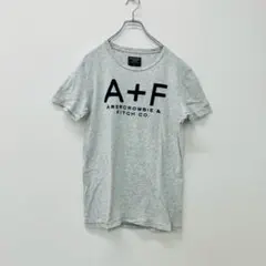 【a0288】アバクロ 半袖Tシャツ グレー S 刺繍 メンズ