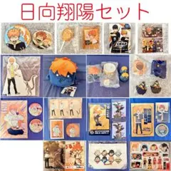 送料込★日向翔陽・ヒナガラスセット