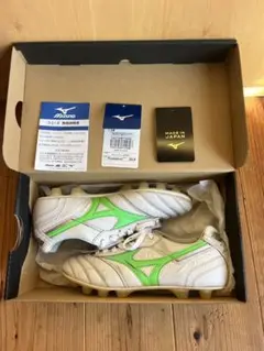 Mizuno モレリア　2 希少限定色　グリーン　23.5