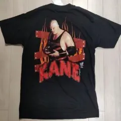 2025年最新】wwf tシャツの人気アイテム - メルカリ