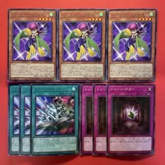 遊戯王　トゥーン・ハーピィ・レディ　トゥーンフリップ　トゥーンテラー　各3枚