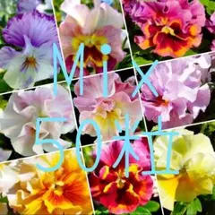 安達涼乃様 リクエスト 2点 まとめ商品