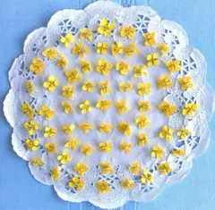 さやか様 リクエスト 2点 まとめ商品