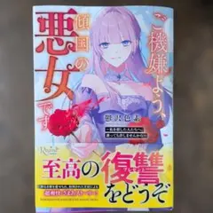 ご機嫌よう、傾国の悪女です : ～私を殺した人たちへ、謝っても許しませんから～