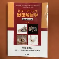 2026年最新】カラーアトラス獣医解剖学〈下巻〉の人気アイテム - メルカリ