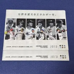 jera セリーグクリアファイル2枚